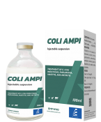 COLI AMPI