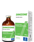 DIMIZONE
