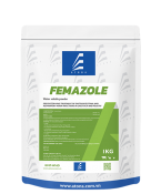 FEMAZOLE
