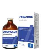 FENIZONE