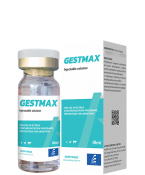 GESTMAX