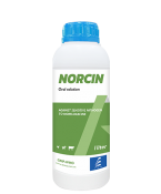 NORCIN