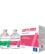 CEFTI PRO