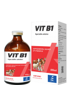 VIT B1