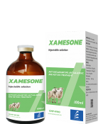 XAMESONE